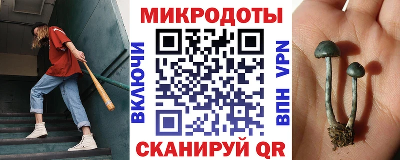 Псилоцибиновые грибы Magic Shrooms  Купить  Анадырь 